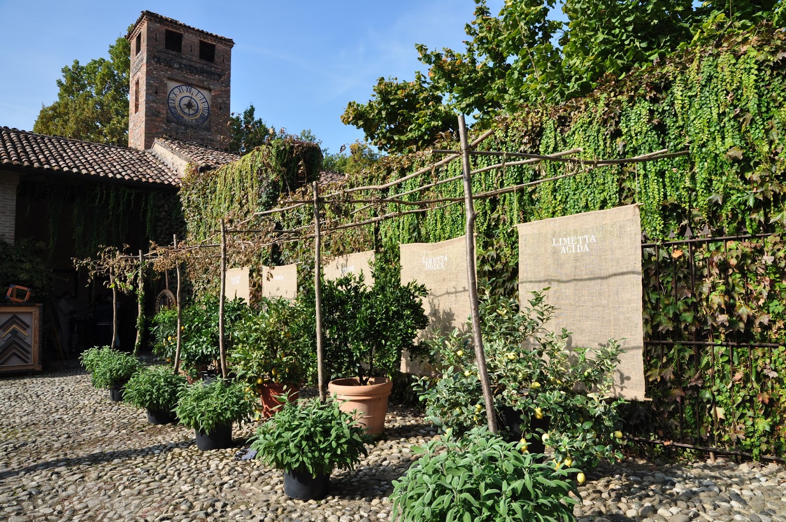 Frutti antichi in mostra al Castello di Paderna