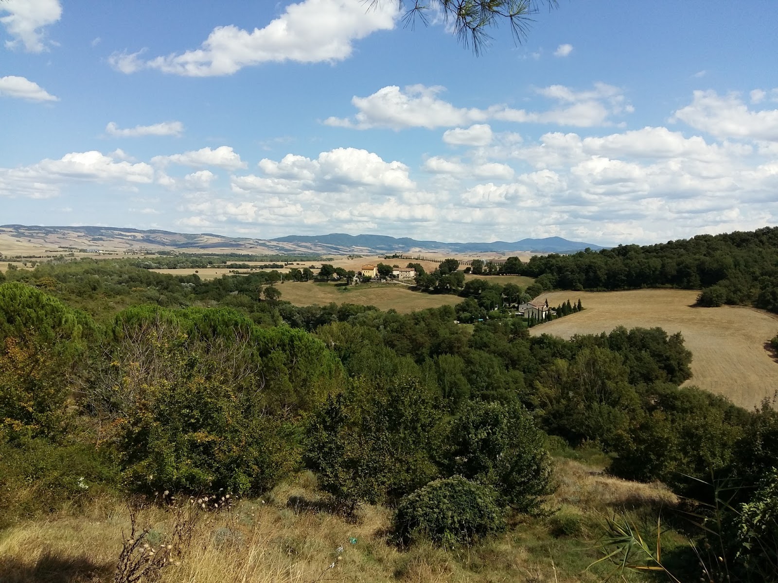 Veduta sulle colline senesi della Val d'Orcia