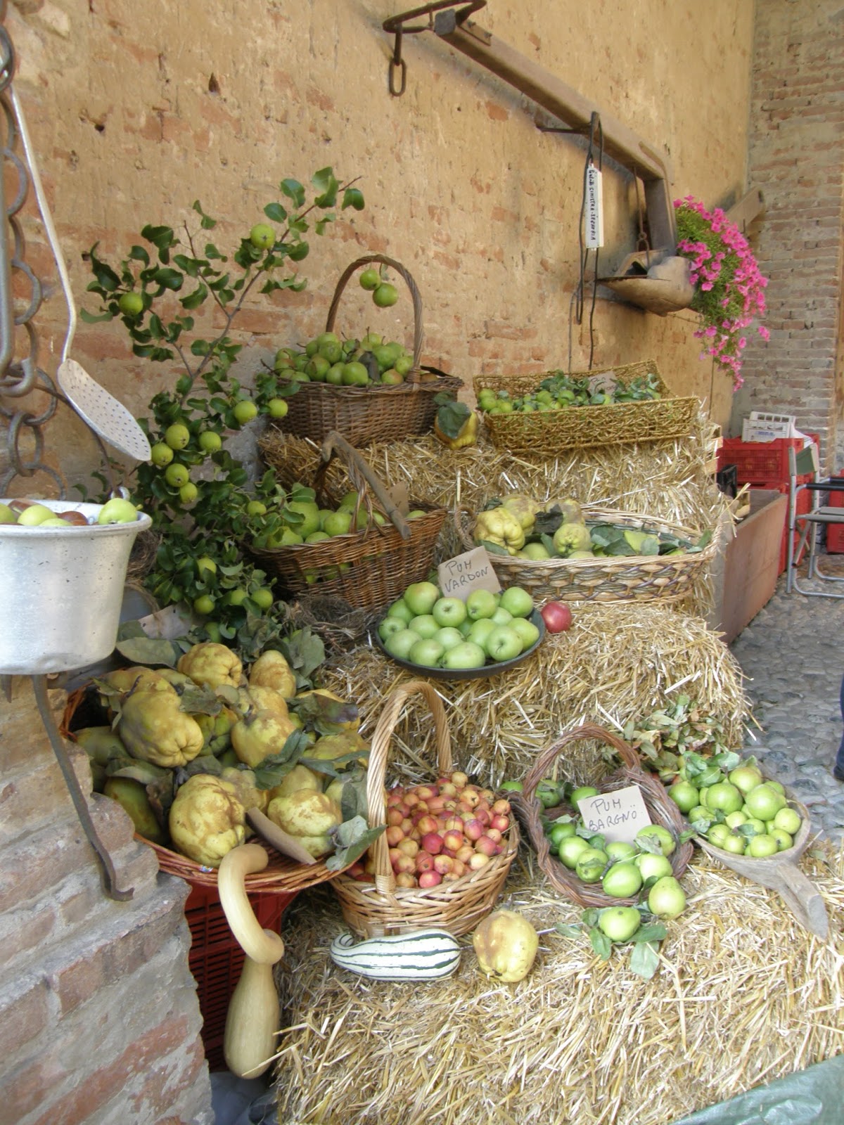 Frutti antichi in mostra al Castello di Paderna