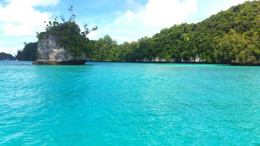 Rock Island nell'arcipelago di Palau (Micronesia)