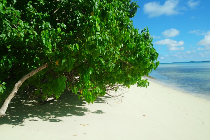 Spiaggia in uno degli atolli di Palau