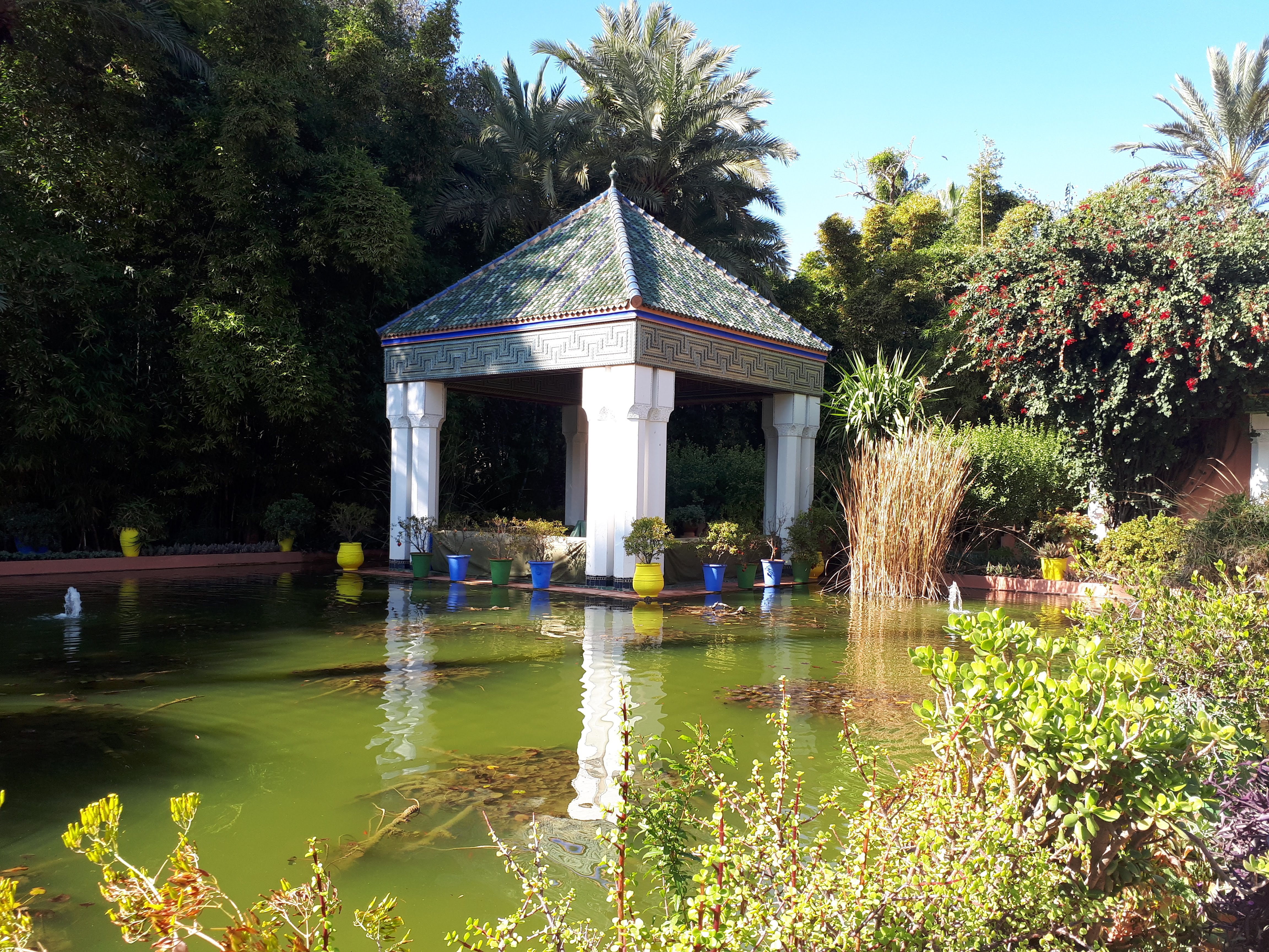 Giardini Majorelle (Marrakesh)