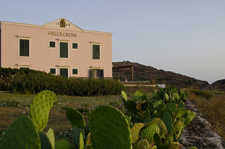 Pellagrino, Cantina Pantelleria