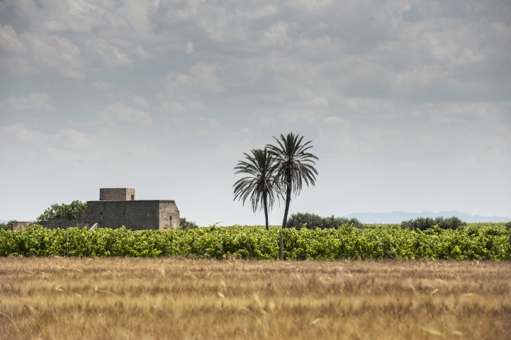 Pellegrino, Tenuta Kelbi