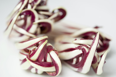 Radicchio Rosso di Treviso IGP - Tardivo