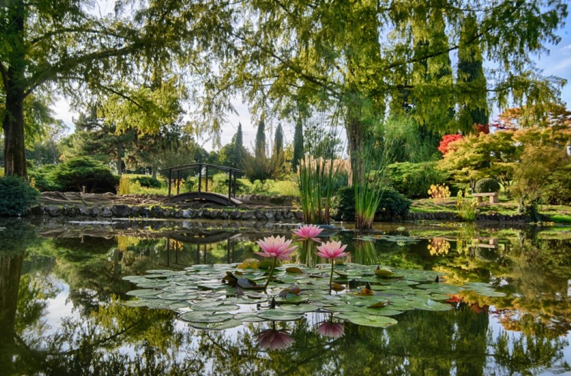 Parco giardino Sigurtà, lago di Garda, valeggio sul Mincio