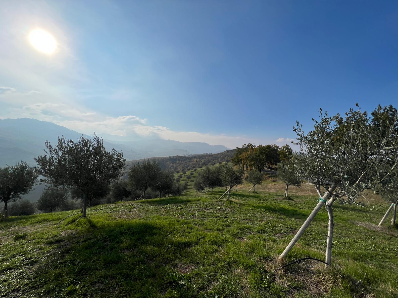 Tenuta Agrivar, Podere La Tamburina, Palazzo di Varignana