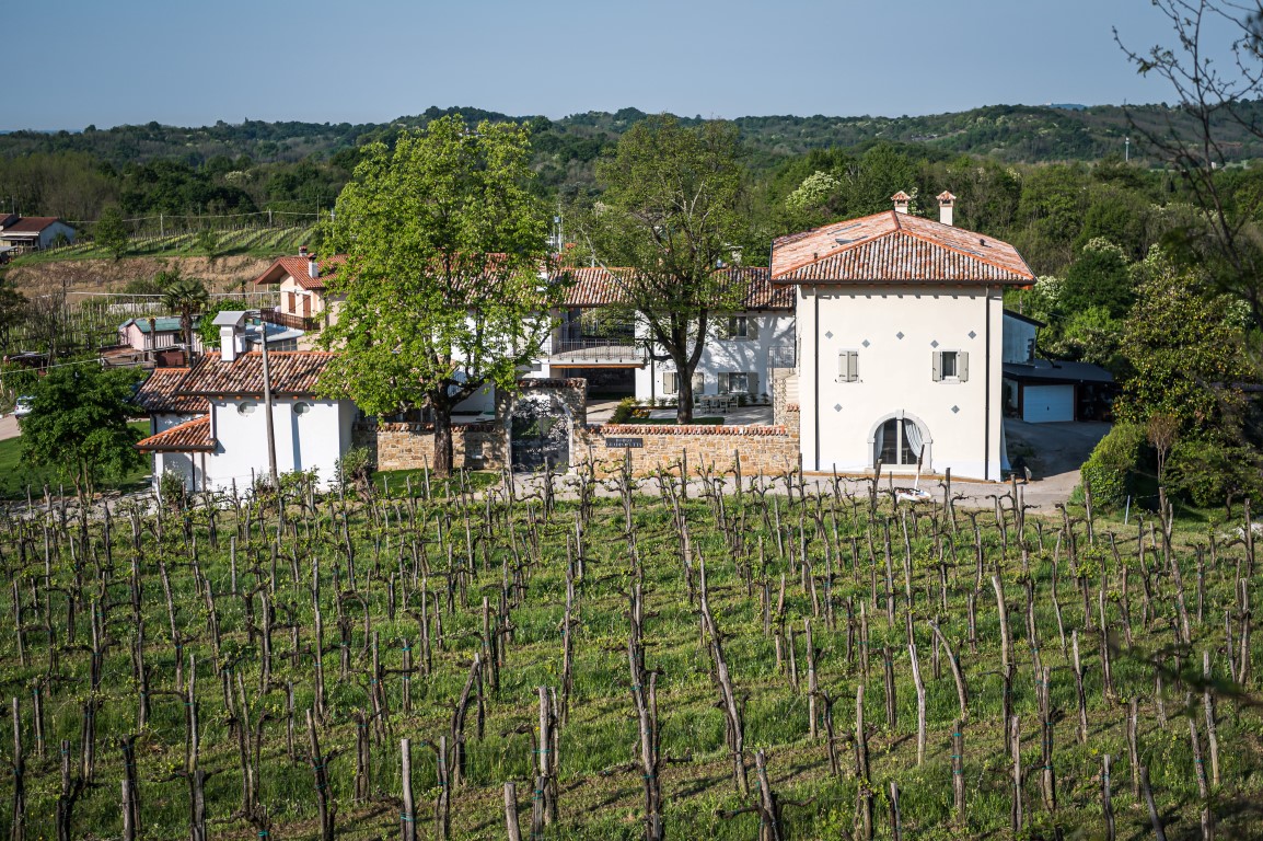 Enoturismo, Collio, borgo gradis'ciutta