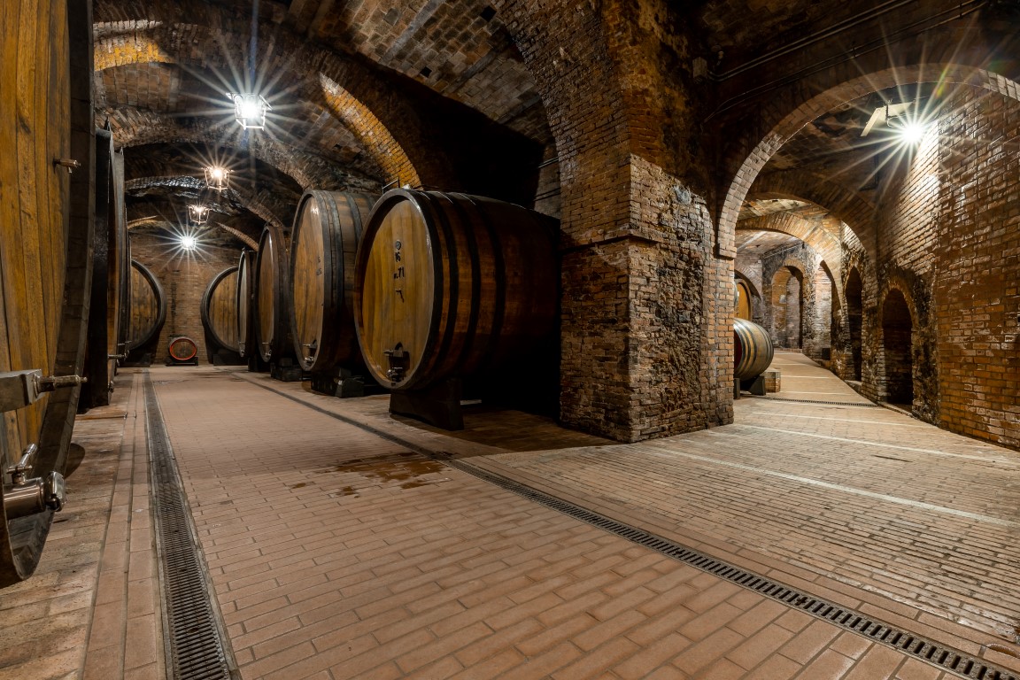 Fattoria della Talosa, Cantina storica