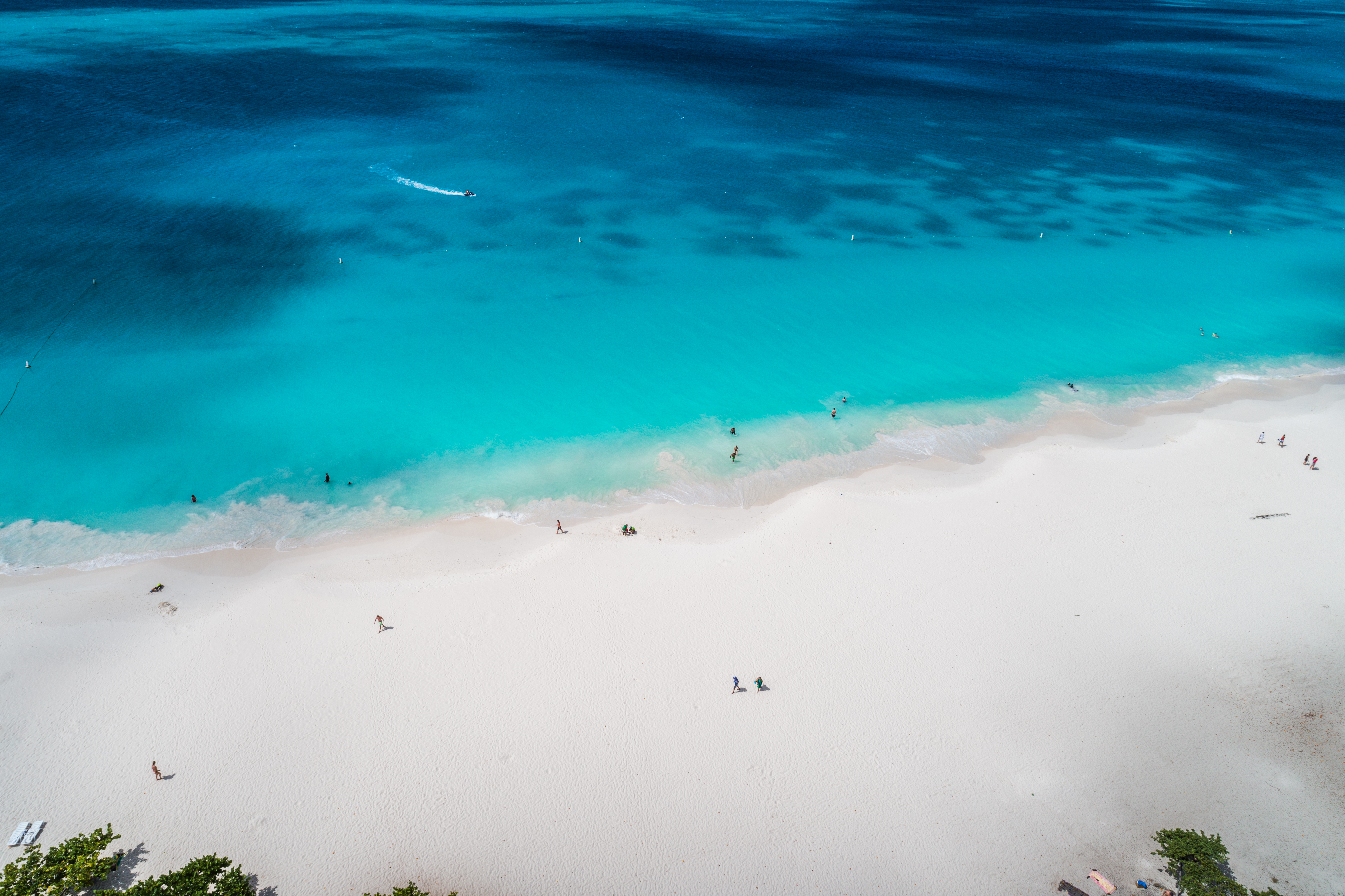 Eagle Beach (Aruba, Caraibi)