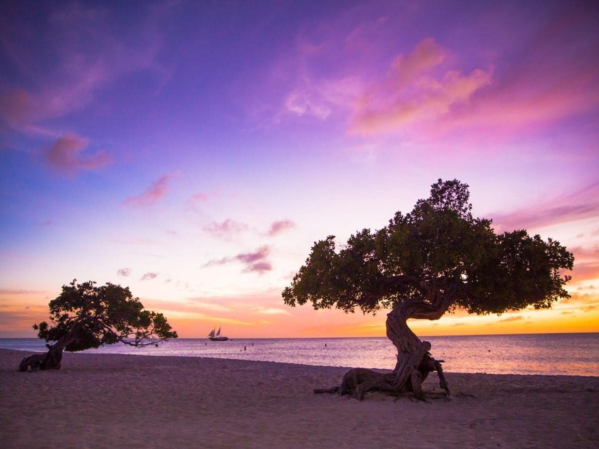 Tramonto sulla spiaggia con gli alberi Fofoti