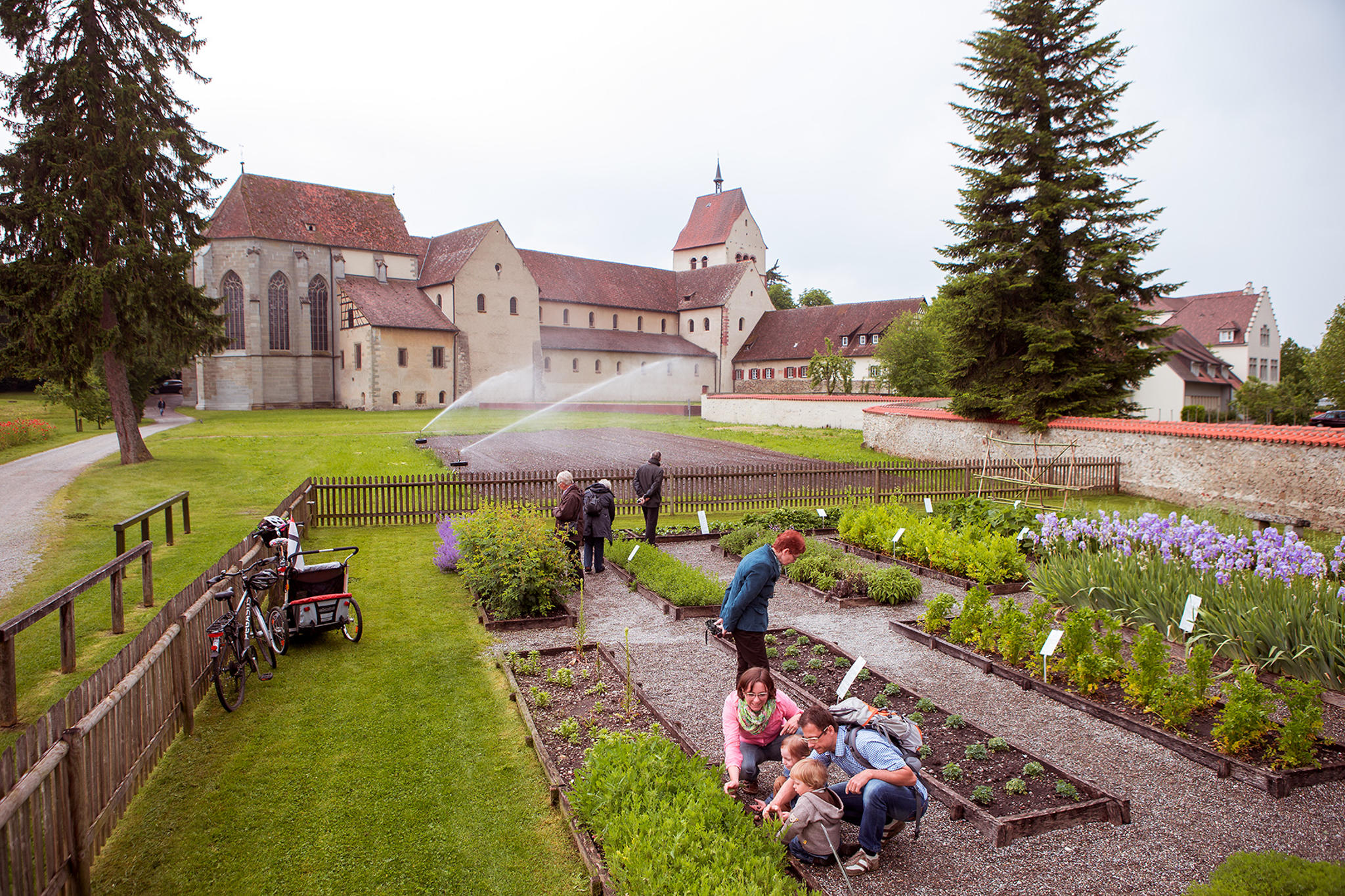 Gli orti di Reichenau