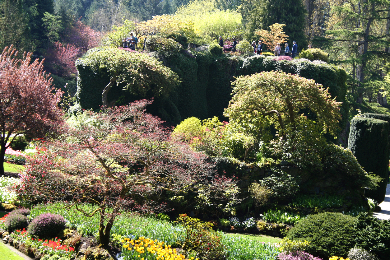 Butchart Gardens, British Columbia in Canada (Istock)