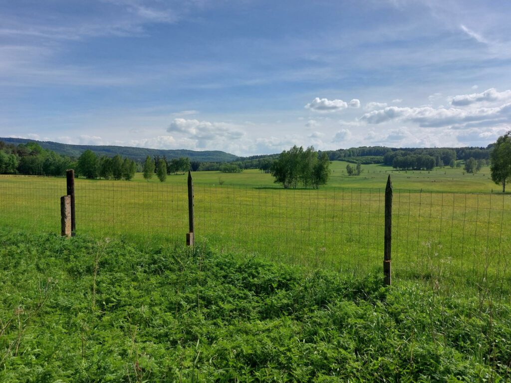 Selva Boema, paesaggio