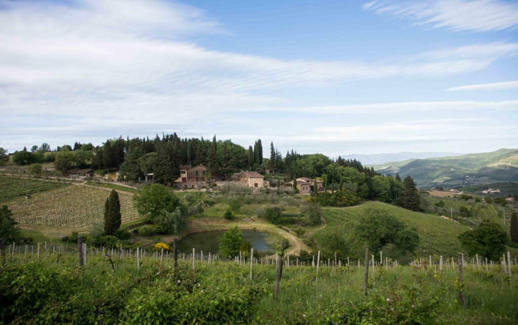 Vecchie Terre di Montefili