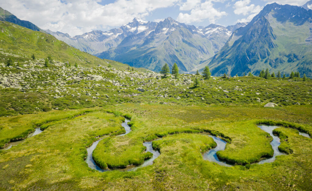 Biotop Wieser Werfer Ahrntal Valle Aurina