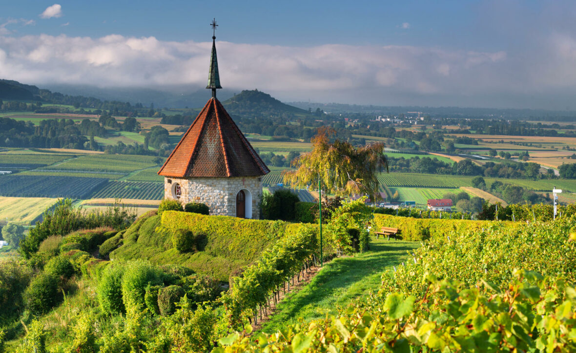 Vigneti in Germania