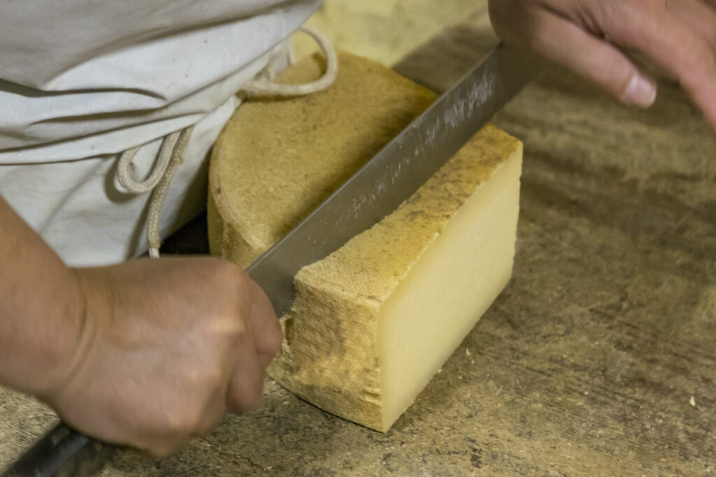 Formaggio valtellinese