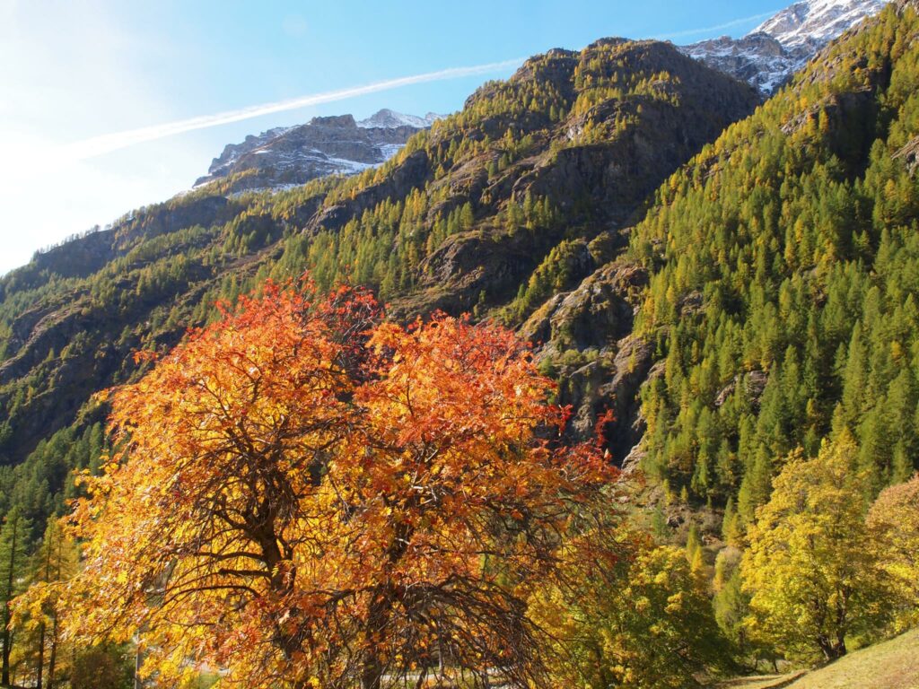 Monte Rosa, Valle di Gressoney