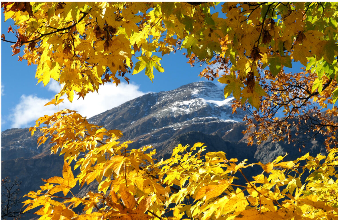 Monte Rosa, Valle di Gressoney