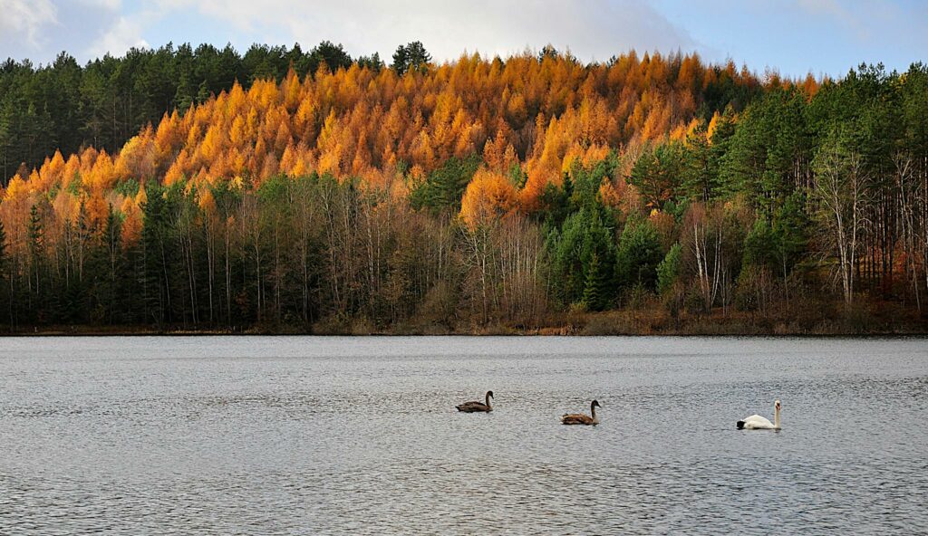 Danzica, Polonia