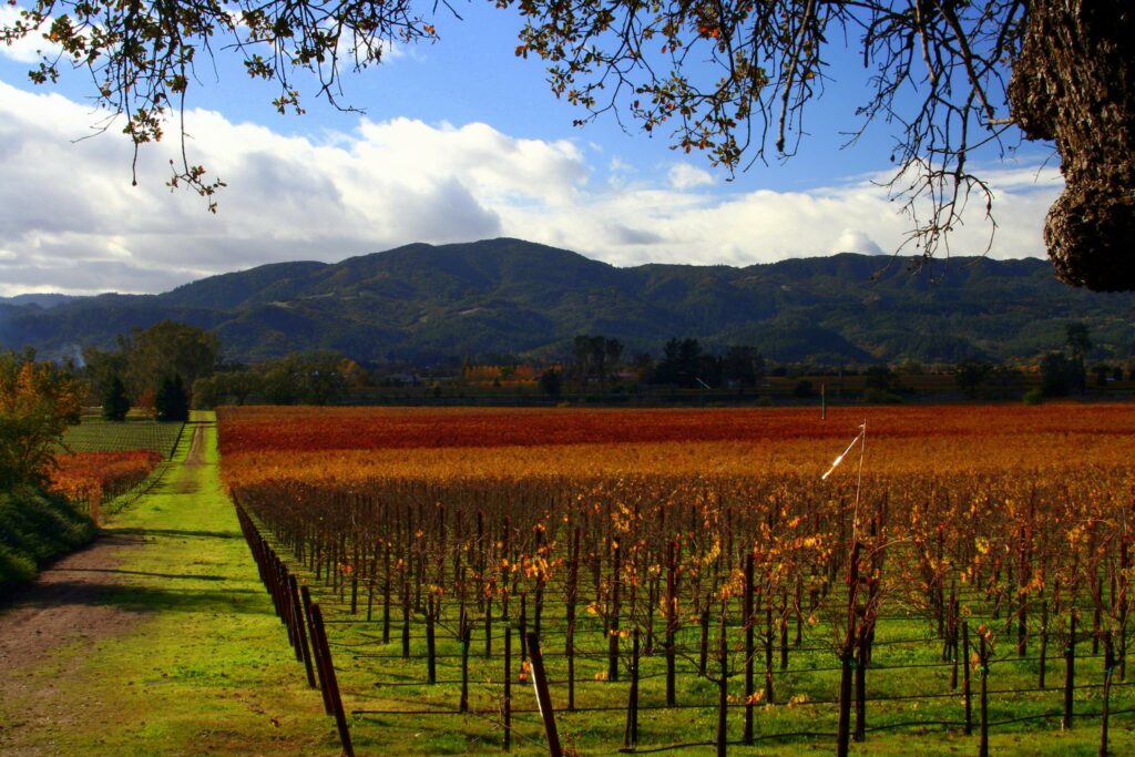 Napa Vallery, USA