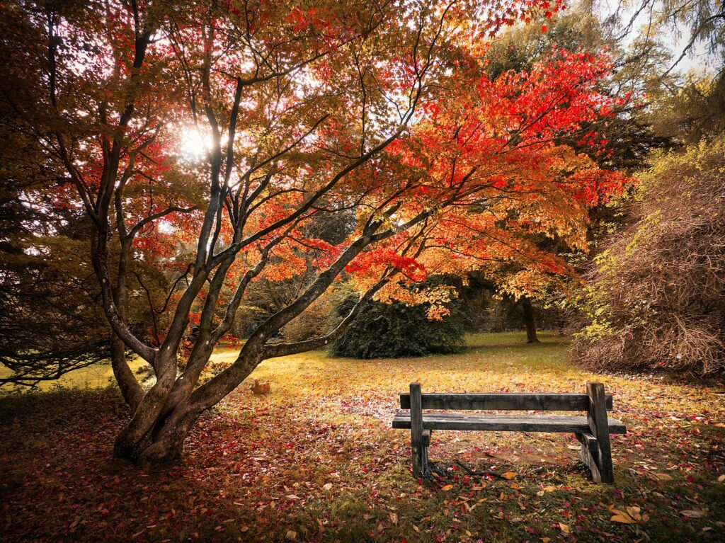 Westonbirt National Arboretum, UK