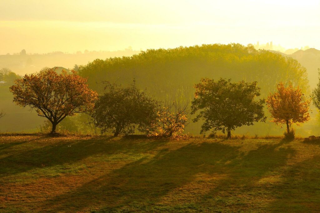 Veduta sulle colline di Agliano Terme