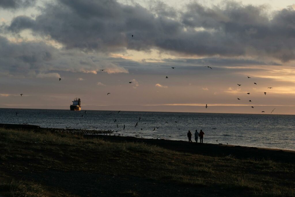 Punta Arenas (Cile)