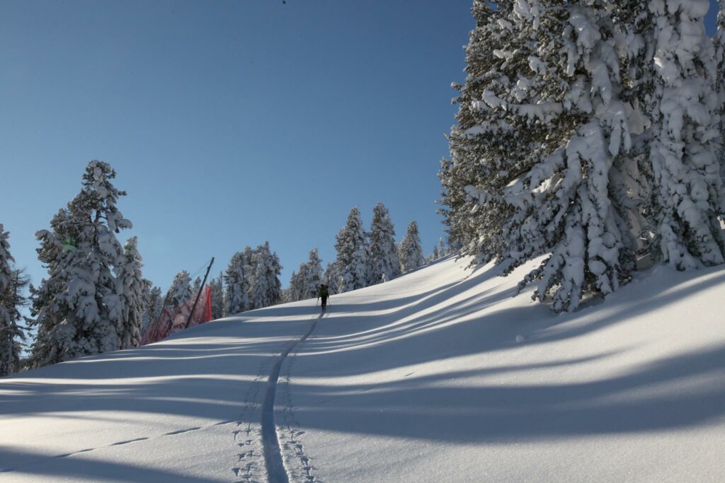 Sciare a Oberregen in Alto Adige