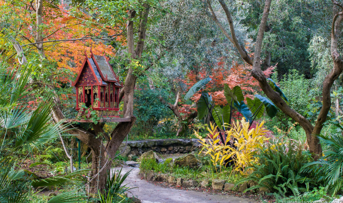 I Giardini La Mortella di Ischia in autunno