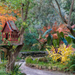 I Giardini La Mortella di Ischia in autunno