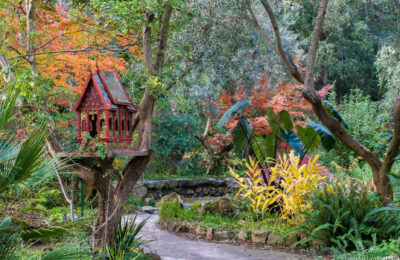 I Giardini La Mortella di Ischia in autunno