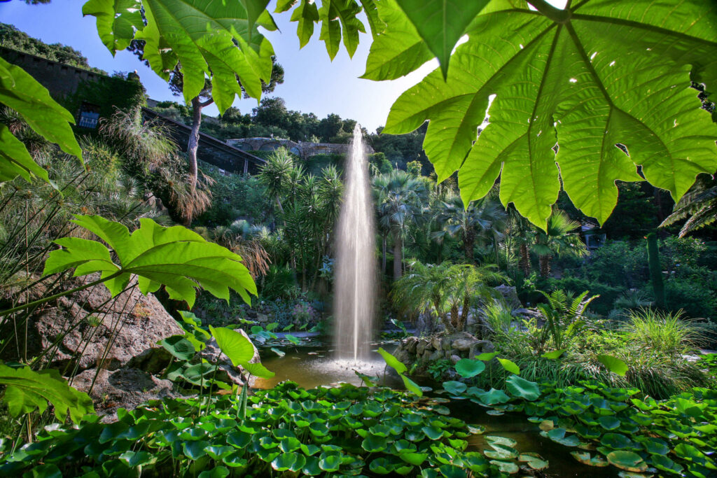 Fontana principale del giardino tropicale