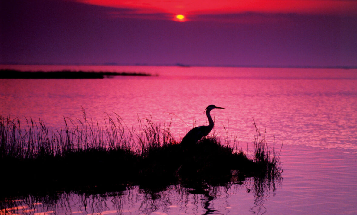 Lignano Sabbiadoro, Nei Colori del Tramonto - Tramonto sulla Laguna (credits arch. PTFVG)