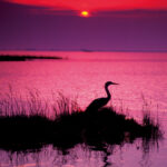 Lignano Sabbiadoro, Nei Colori del Tramonto - Tramonto sulla Laguna (credits arch. PTFVG)